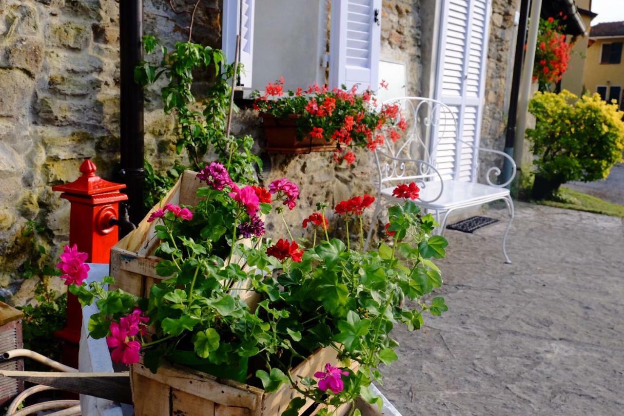 Pietrasanta Hotel Kültér fotó