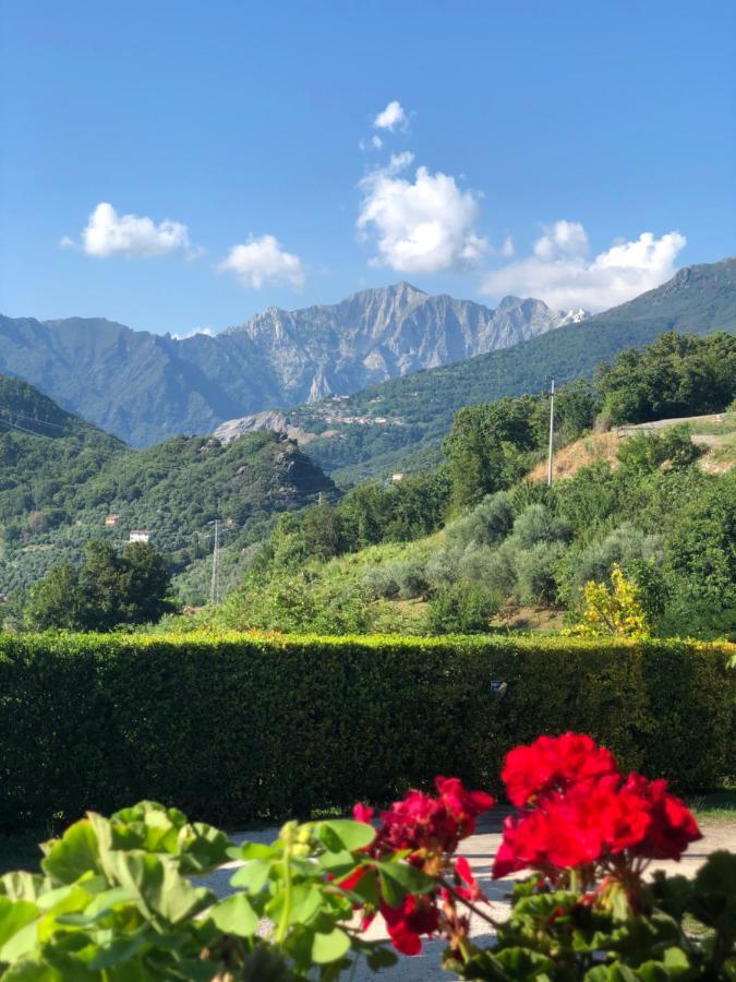 Pietrasanta Hotel Kültér fotó